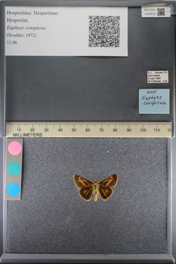 Media type: image;   Entomology 208634
